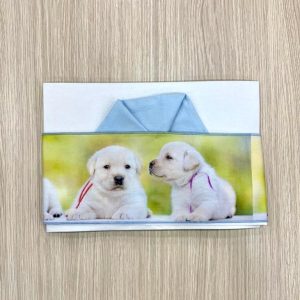 Composè culla/carrozzina neonato Piccole Emozioni